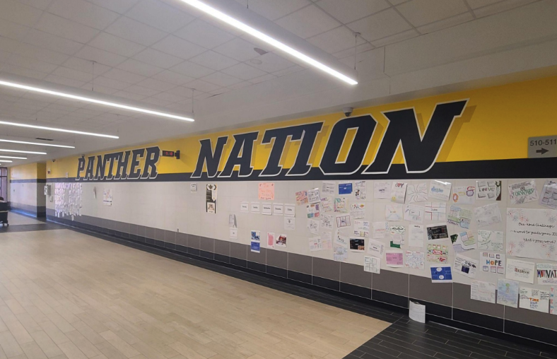 Black and gold wall painting that says, "Panther Nation."