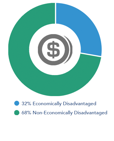 Pie chart showing economically disadvantaged 
