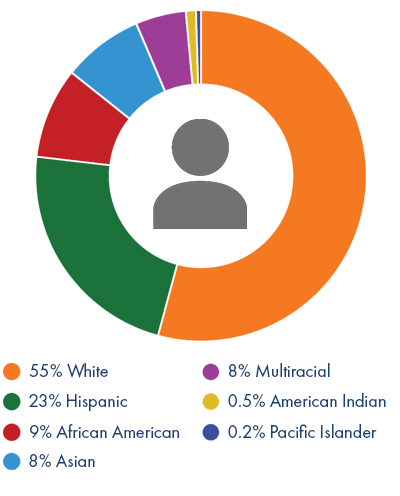 Pie chart showing demographics breakdown 